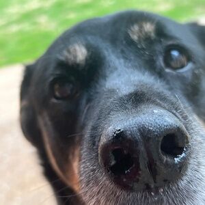 Meet your Posher, Michele